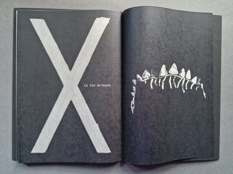A Is For Ant (Children's Edition) - Setanta Books