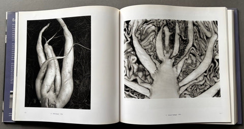 Open book showing black and white images of intertwined roots