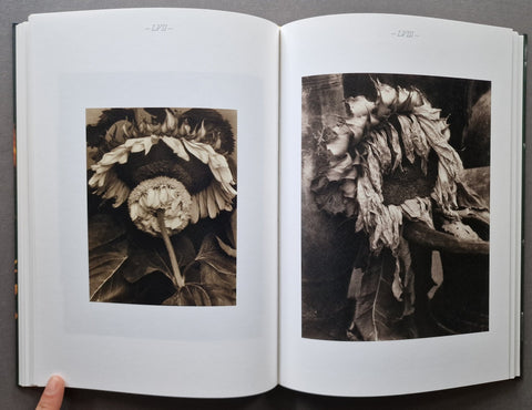 An open book showing two sepia-toned photographic prints on the pages, with a finger visible at the bottom left holding the open spread.