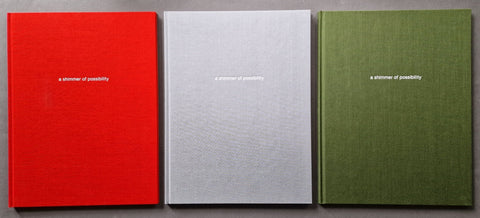 A Shimmer of Possibility (1st) - Setanta Books