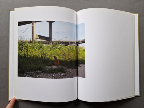 A Shimmer of Possibility (1st) - Setanta Books