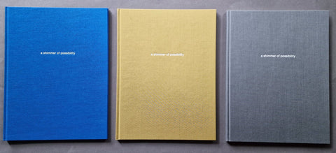 A Shimmer of Possibility (1st) - Setanta Books