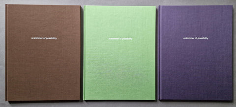 A Shimmer of Possibility (1st) - Setanta Books