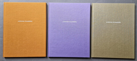 A Shimmer of Possibility (1st) - Setanta Books