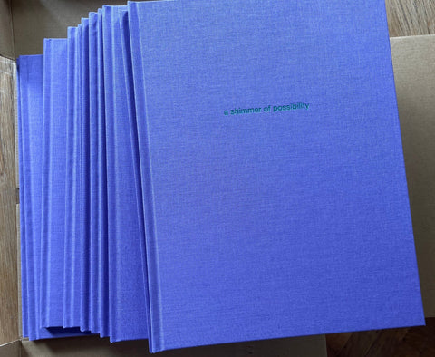 A Shimmer of Possibility - Setanta Books