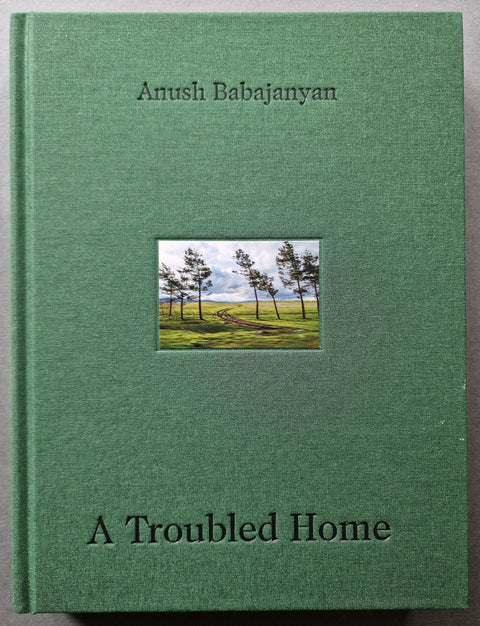 A Troubled Home - Setanta Books