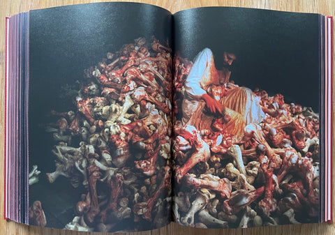 A Visual Biography - Setanta Books