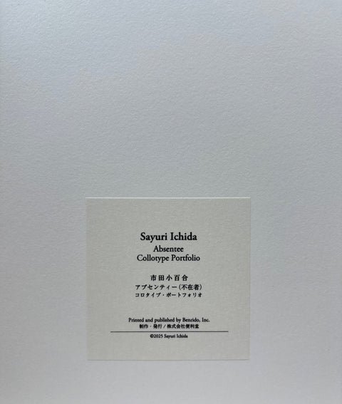 Absentee - Setanta Books