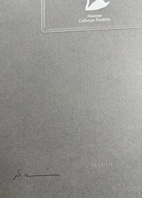 Absentee - Setanta Books