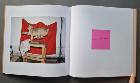 Advice for Young Artists - Setanta Books