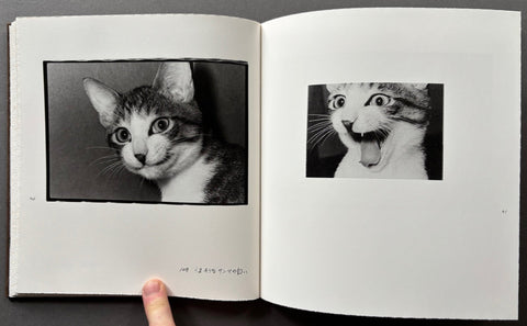 Afterword - Setanta Books
