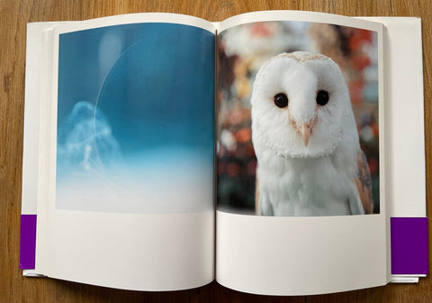 Aila - Setanta Books