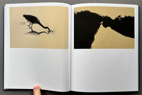 Des Oiseaux