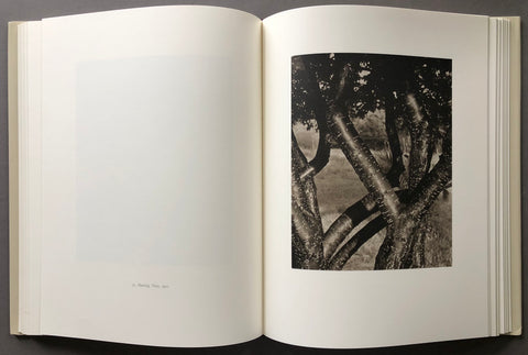 Alfred Stieglitz: Photographs and Writings