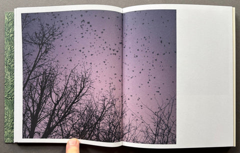 All of Them Witches - Setanta Books