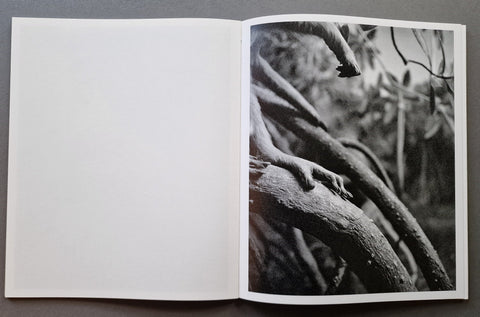 All Things Laid Dormant - Setanta Books
