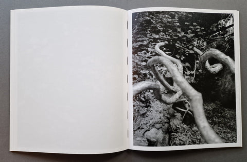 All Things Laid Dormant - Setanta Books