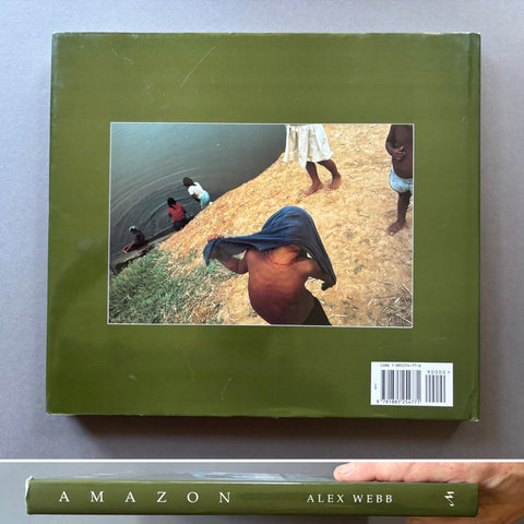 Amazon: From the Floodplains to the Clouds