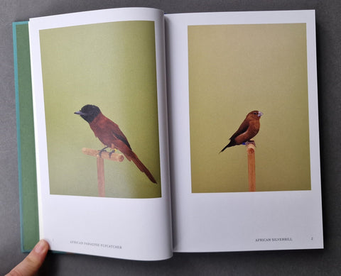 An Incomplete Dictionary of Show Birds .Vol 2 (2 Cover Options) - Setanta Books