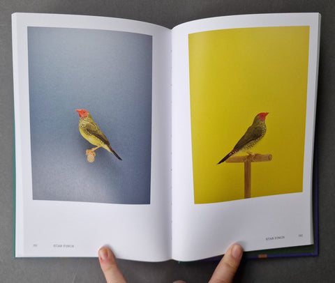 An Incomplete Dictionary of Show Birds .Vol 2 (2 Cover Options) - Setanta Books