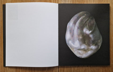Anatomy of an Oyster - Setanta Books