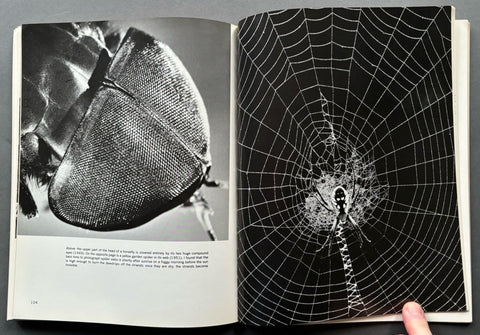 Andreas Feininger: Experimental Work 1928 - 1976 - Setanta Books
