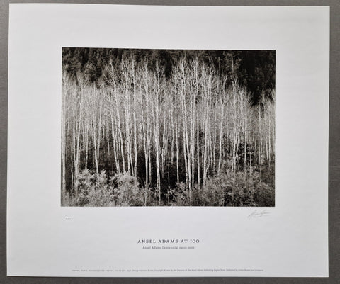 Ansel Adams At 100 - Setanta Books