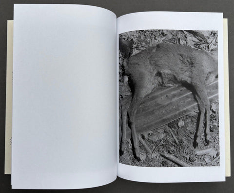 As Long As The Sun Lasts - Setanta Books