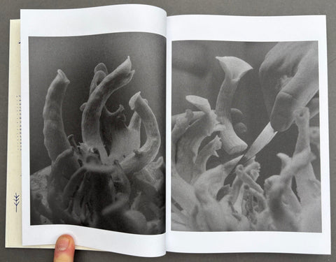 As Long As The Sun Lasts - Setanta Books