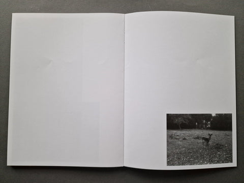 At Dusk - Setanta Books
