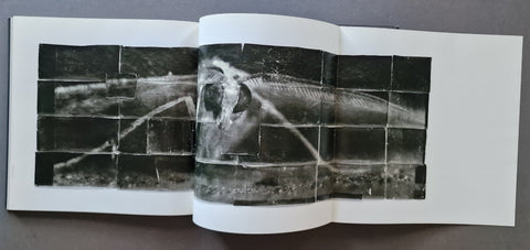 A three page foul-out showing a black-and-white photographic artwork of a moth composed of numeral rectangular panels.