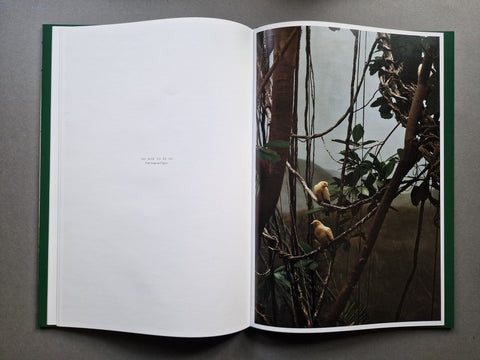 Aves Mei (Special slipcased edition with print) - Setanta Books