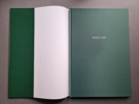Aves Mei (Special slipcased edition with print) - Setanta Books