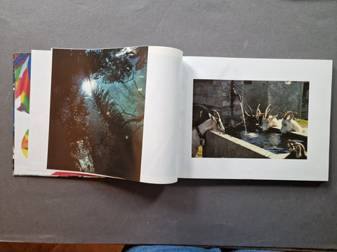 Berner Blitz - Setanta Books