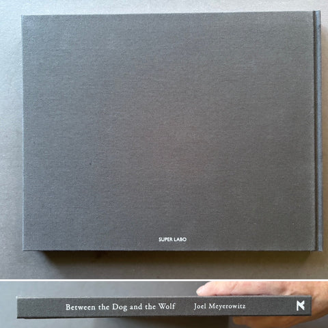 Between the Dog and the Wolf - Setanta Books