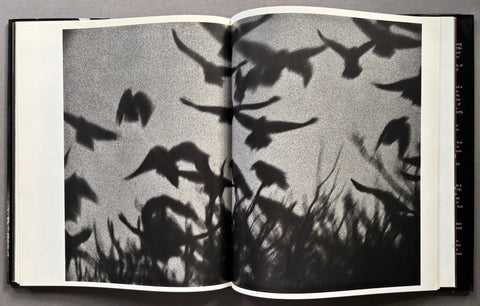 Black Sun: The Eyes of Four - Setanta Books