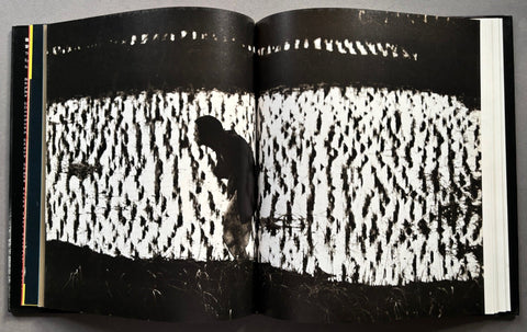 Black Sun: The Eyes of Four - Setanta Books
