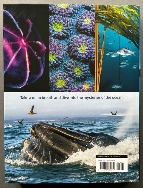 Blue Planet II