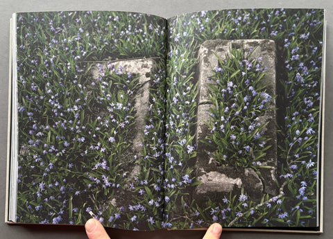 Book of Sorrow - Setanta Books