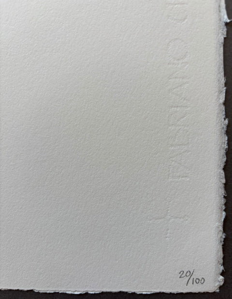 Botanica - Setanta Books