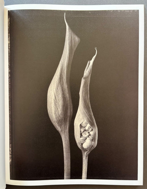 Botanica - Setanta Books