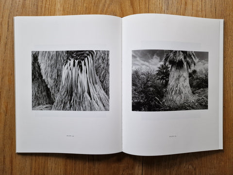California (Special Edition) - Setanta Books