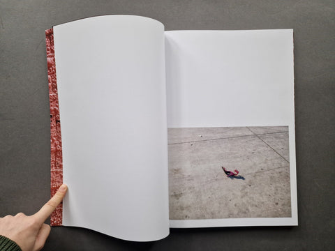 Californian Wildflowers - Setanta Books