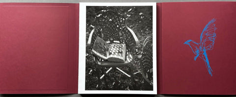 Calling the Birds Home - Setanta Books