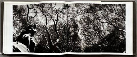 Central Park - Setanta Books