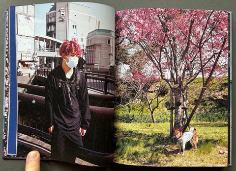 Cherry Trees - Setanta Books