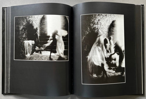 Chrysalides Photodreams - Setanta Books