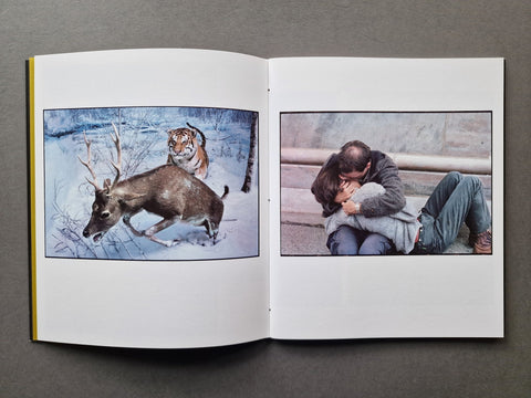 City Confessions 4: Milano - Setanta Books