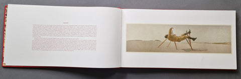 City of Salt - Setanta Books