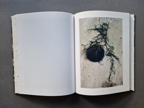 An open book, showing a large blank white page on the left and a square abstract photograph on the right with a dark circular form and branching black line details